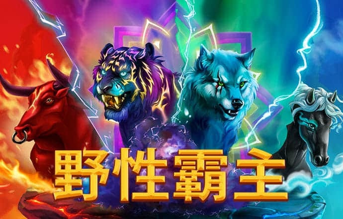 c7下载官网